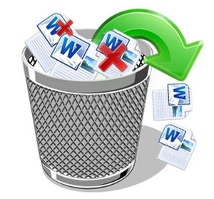 Data Recovery Deleted Files